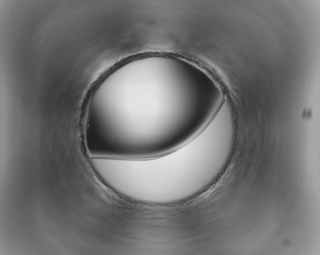 X0000091171168200708091017