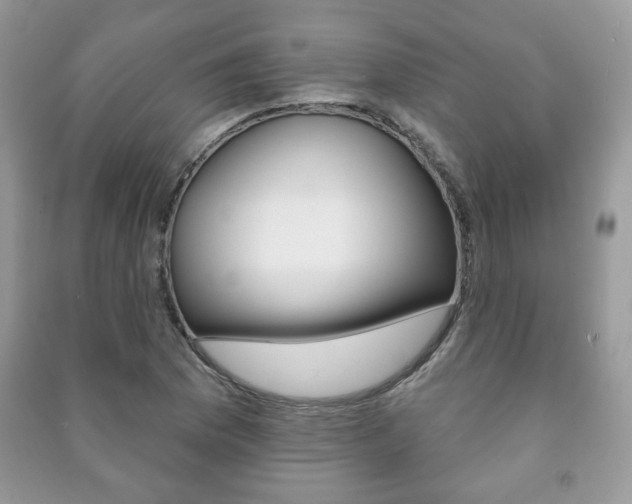 X0000091171169200708091017