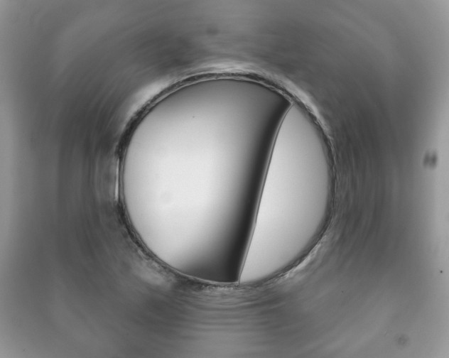 X0000091171171200708091017