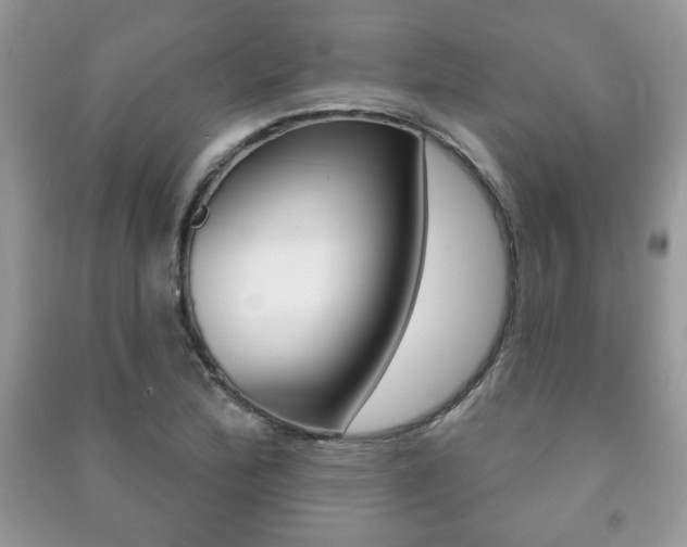 X0000091171172200708091017