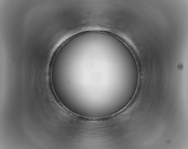 X0000091171173200708091017