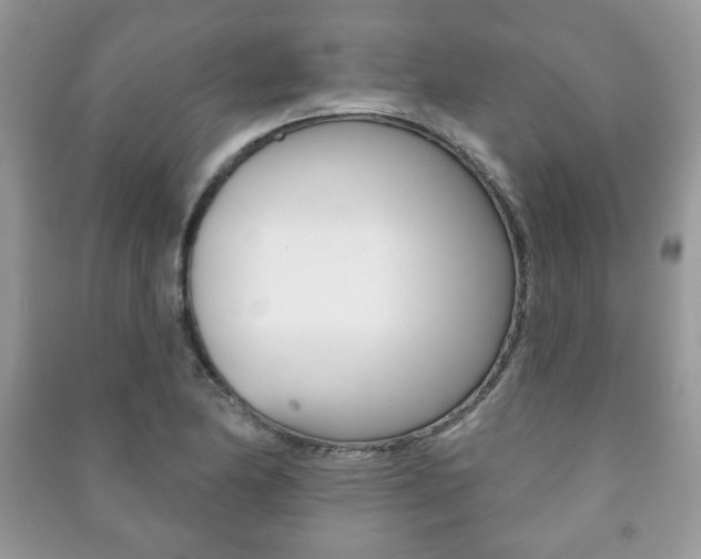 X0000091171174200708091017
