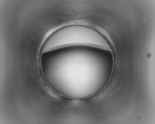 X0000091171176200708091017