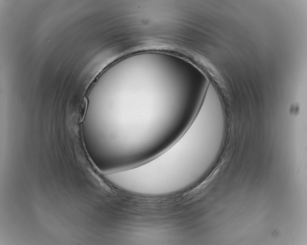 X0000091171177200708091017