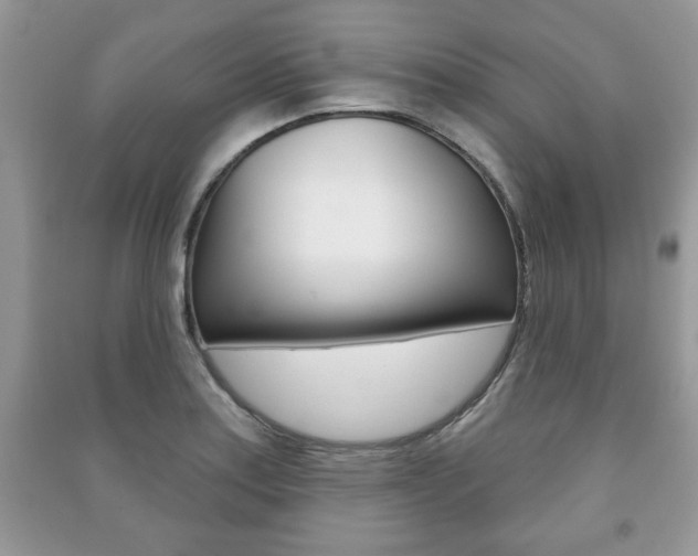X0000091171179200708091017