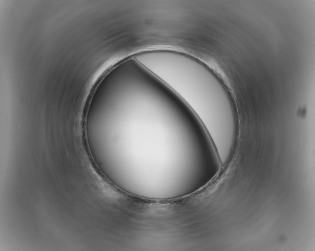 X0000091171181200708091017