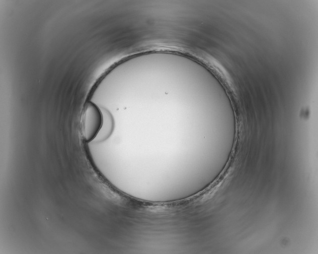 X0000091171182200708091017