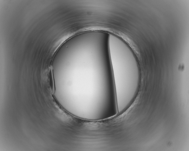 X0000091171185200708091017