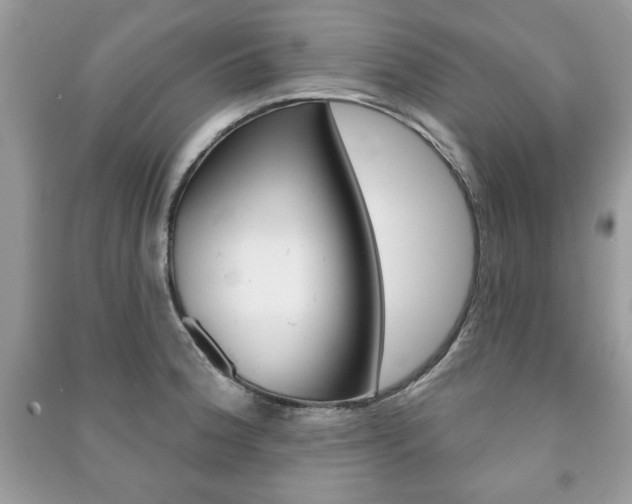X0000091171188200708091017