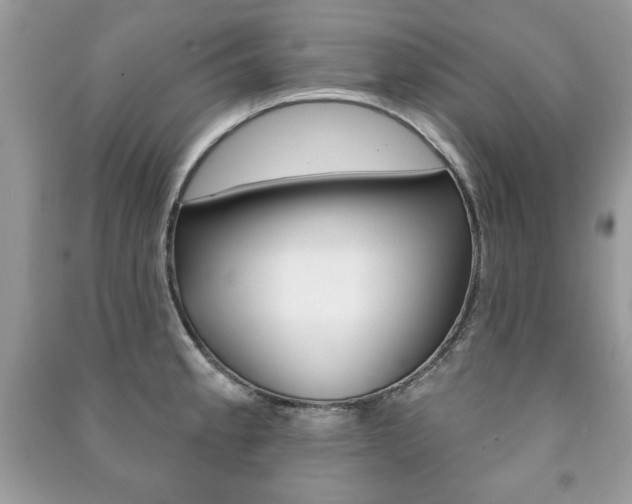 X0000091171189200708091017
