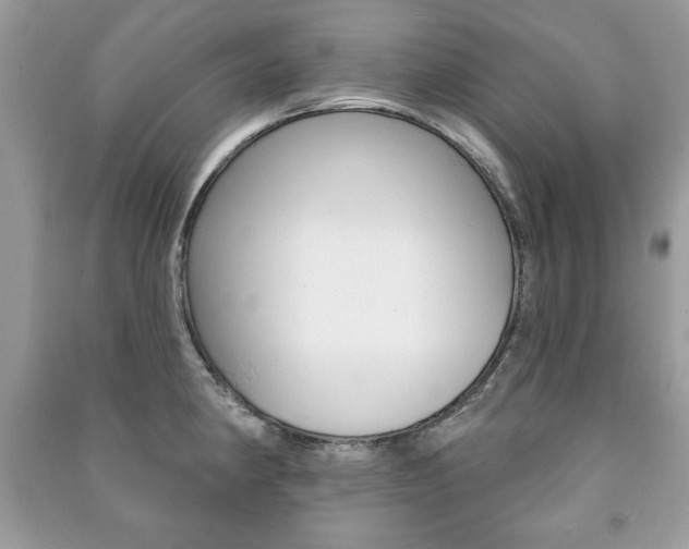 X0000091171190200708091017