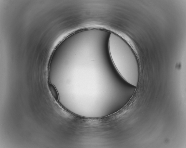 X0000091171191200708091017