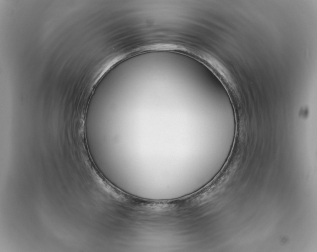 X0000091171193200708091017