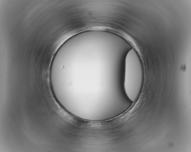 X0000091171194200708091017