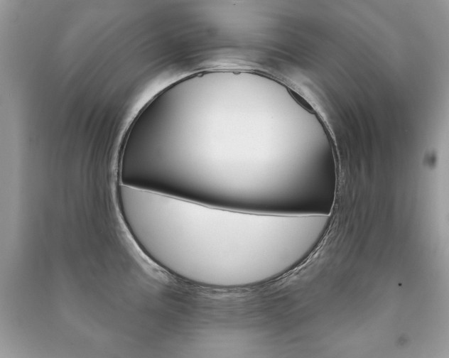X0000091171195200708091017