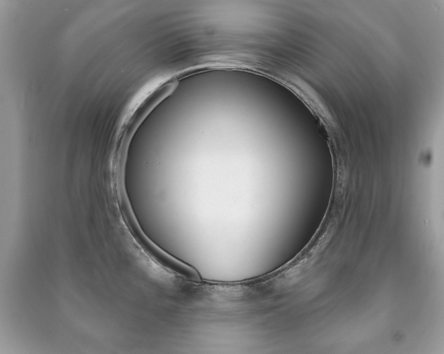 X0000091171196200708091017