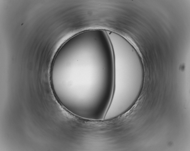 X0000091171197200708091017