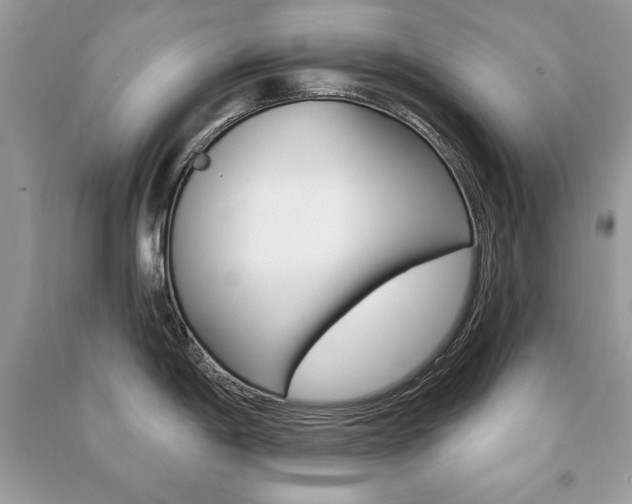 X0000091171198200708091017