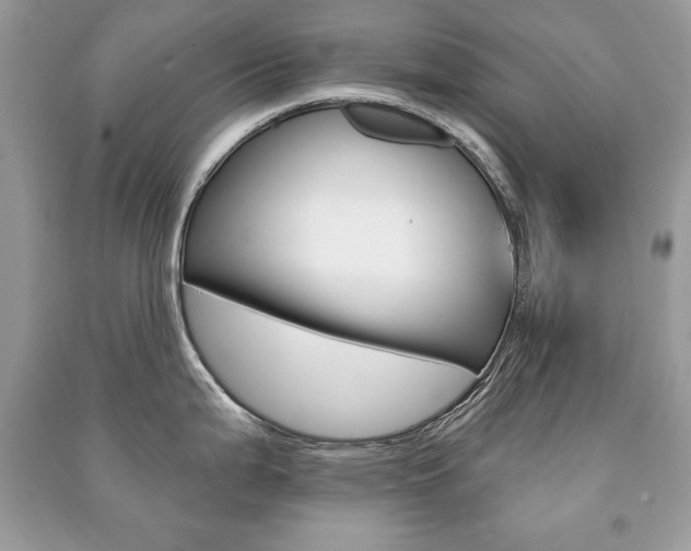 X0000091171199200708091017
