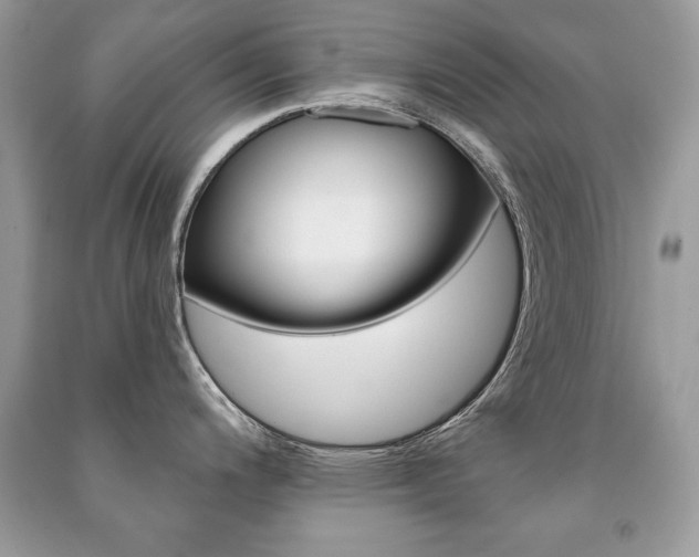 X0000091171200200708091017