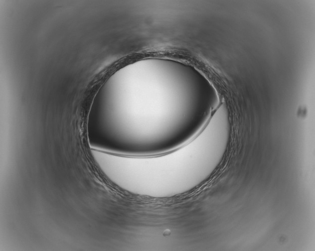 X0000091171206200708091016
