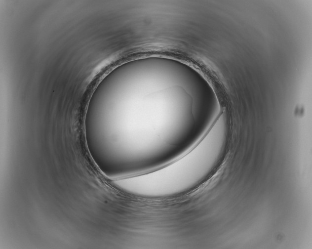X0000091171210200708091016