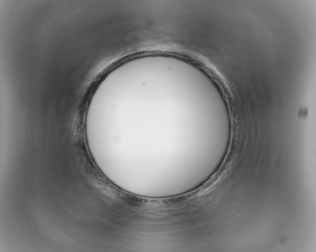 X0000091171215200708091016