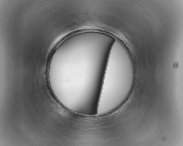 X0000091171216200708091016