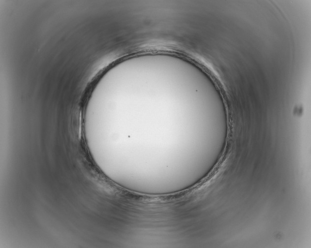 X0000091171219200708091016