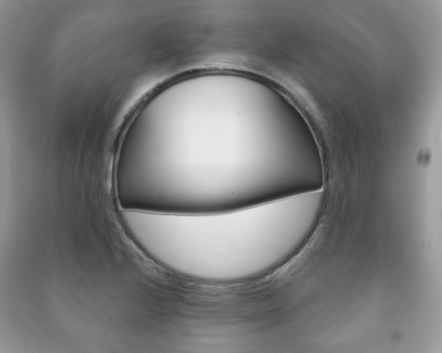 X0000091171224200708091016