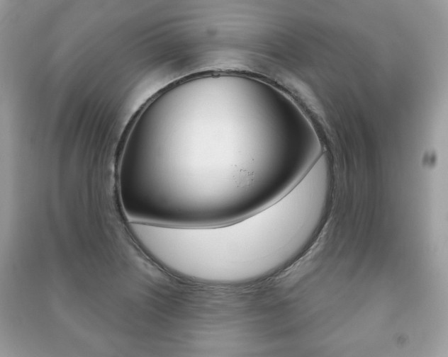 X0000091171226200708091016
