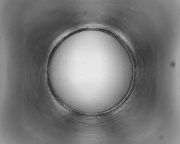 X0000091171229200708091016