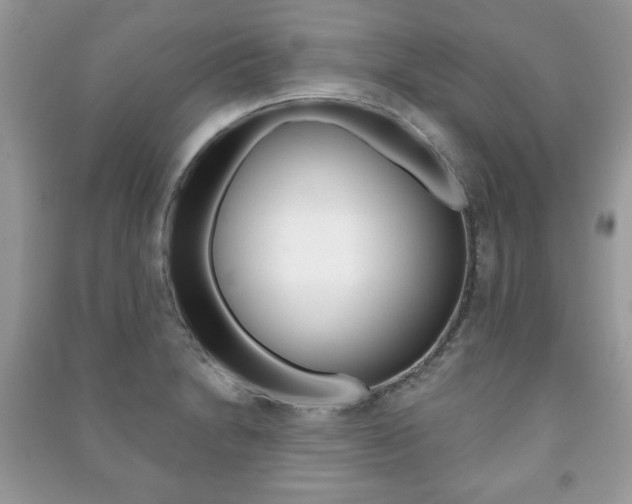 X0000091171230200708091016