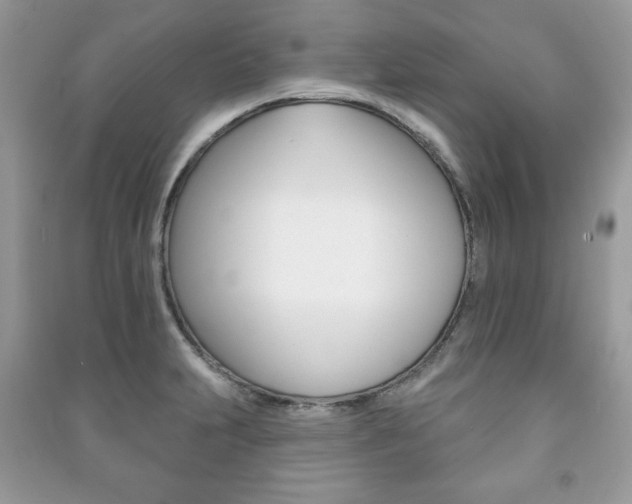 X0000091171231200708091017