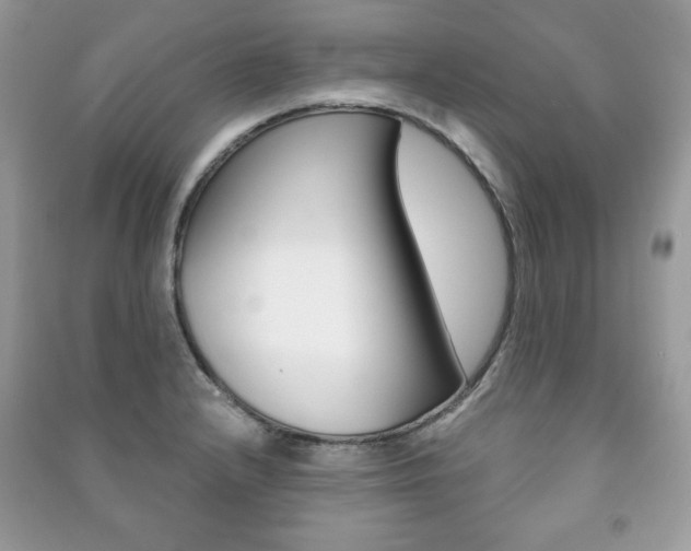 X0000091171232200708091017