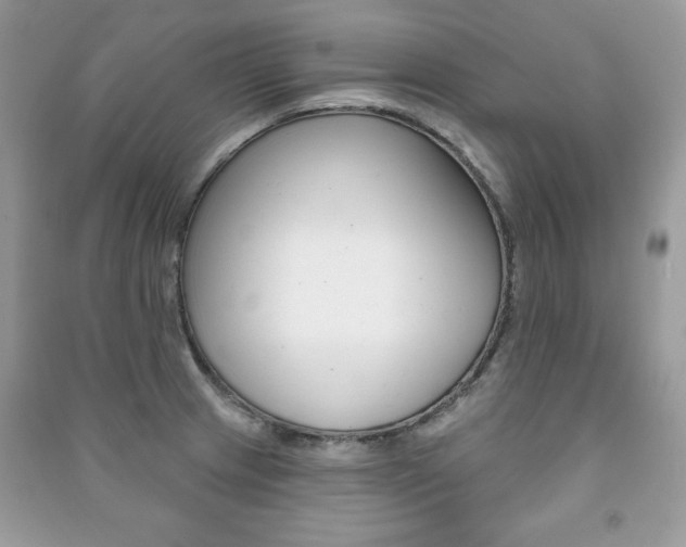 X0000091171233200708091017