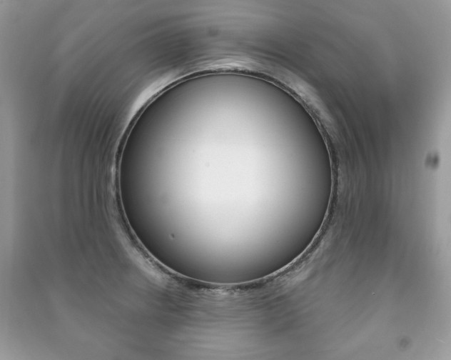 X0000091171234200708091017