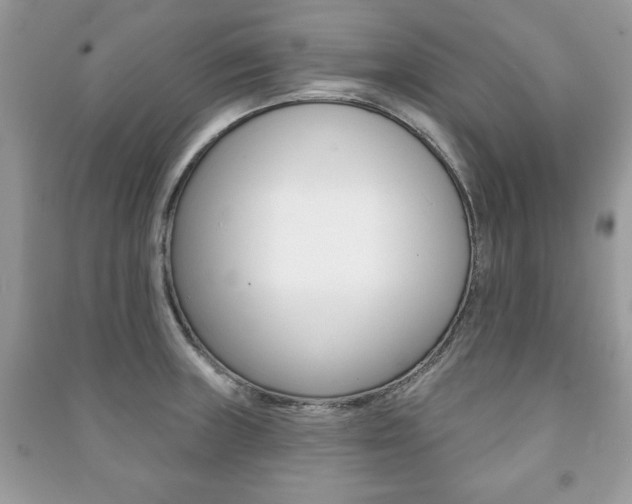 X0000091171235200708091017