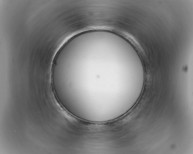 X0000091171236200708091017
