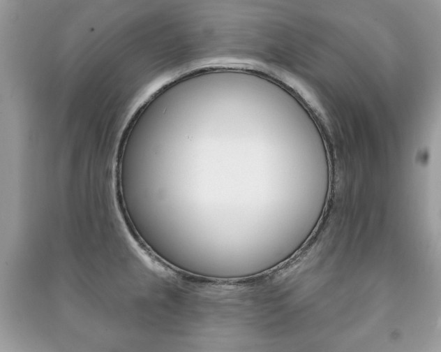 X0000091171237200708091017