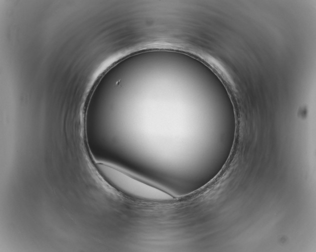 X0000091171238200708091017