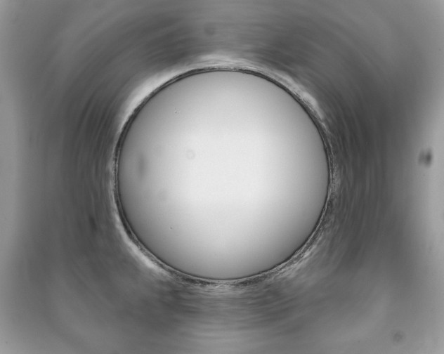 X0000091171239200708091017
