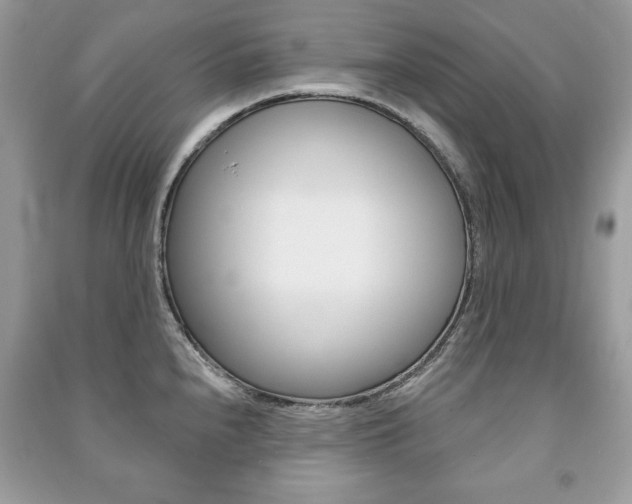 X0000091171240200708091017