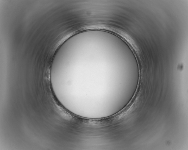 X0000091171241200708091017