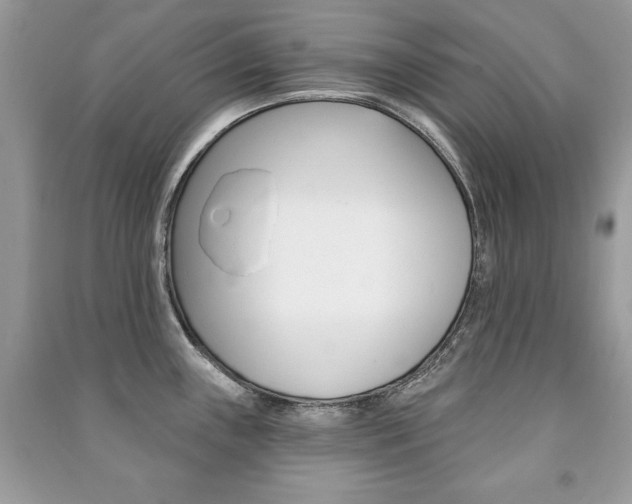 X0000091171243200708091017