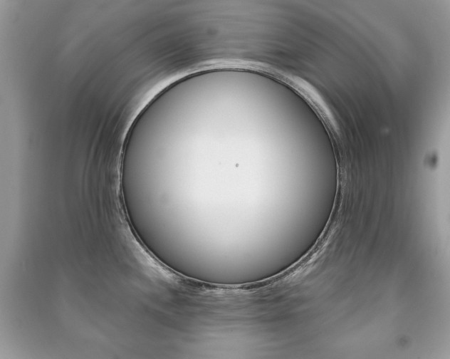 X0000091171244200708091017