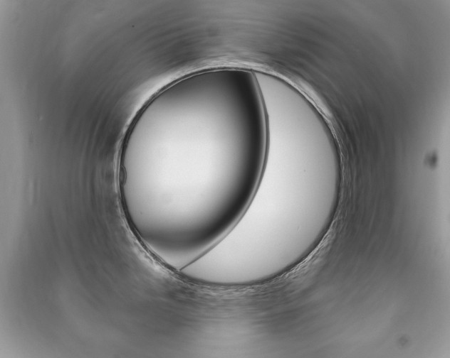 X0000091171246200708091017