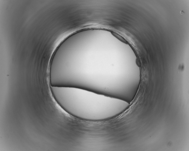 X0000091171247200708091017