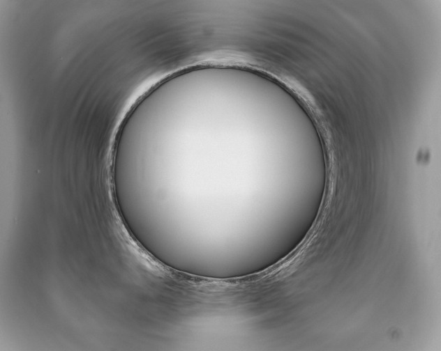 X0000091171248200708091017