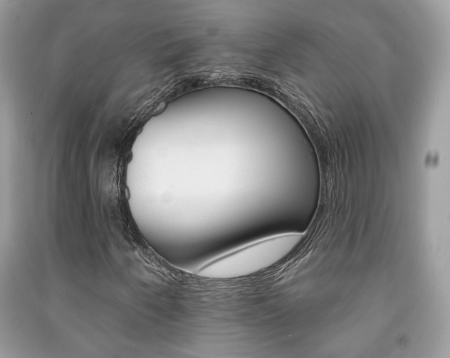 X0000091171250200708091016